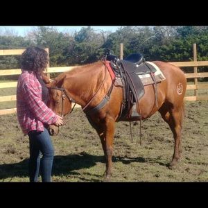 Meet your Posher, Emma